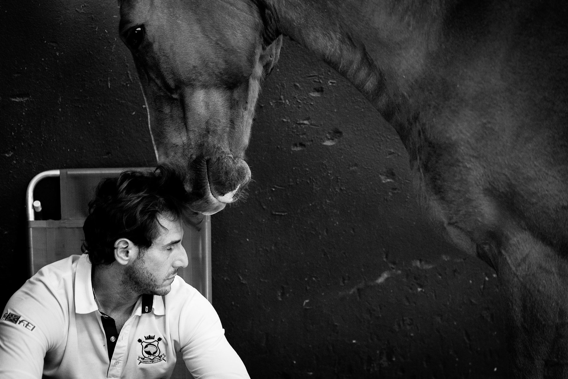 Foto do Sobre de Fotógrafo Cavalo, Horse, Equinos, São Paulo, Religare Photo Art